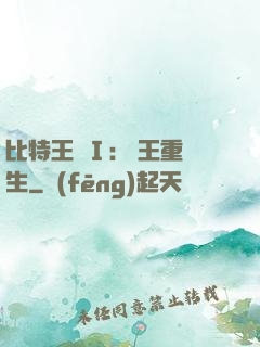比特王國Ⅰ: 國王重生